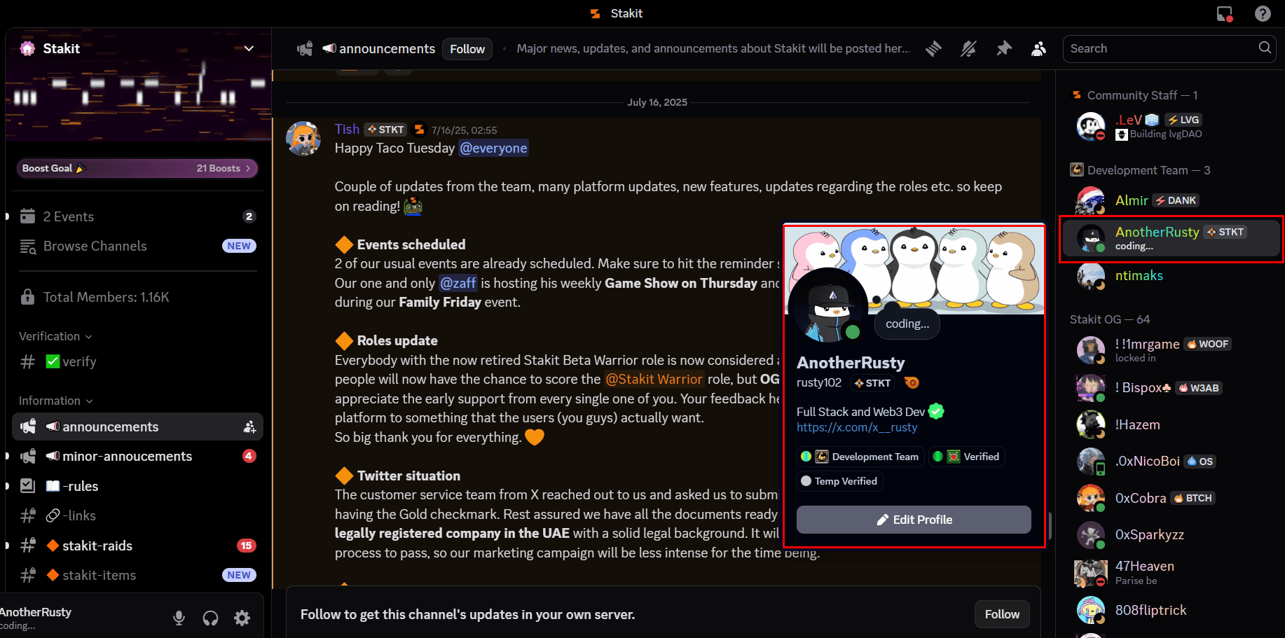 Discord server showing developer role and permissions